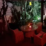 Homestay Petro's Antique House *
