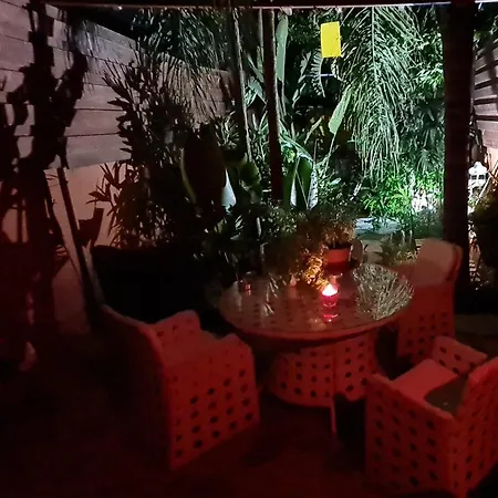 Homestay Petro's Antique House *